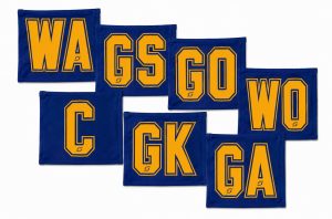 7-A-Side Stadium Velcro Netball Bibs - Royal/Gold