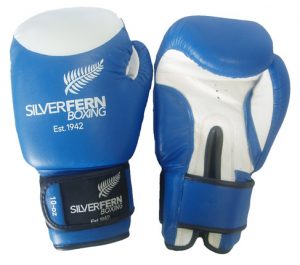 SILVER FERN boxing gloves