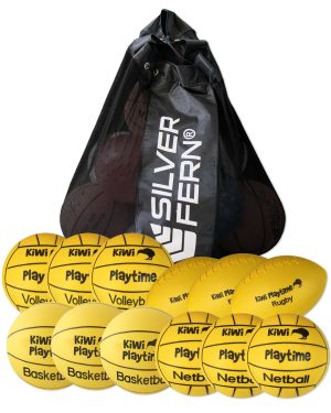 12 Pack Kiwi School Assorted Playground Balls with Carry Bag