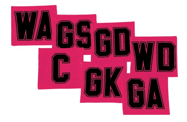 7 A-Side Velcro Netball Bib Set - Magenta/Black